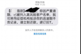 嵊州融资清欠服务